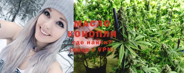 мескалин Ельня