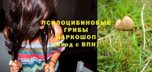 дурь Елизово