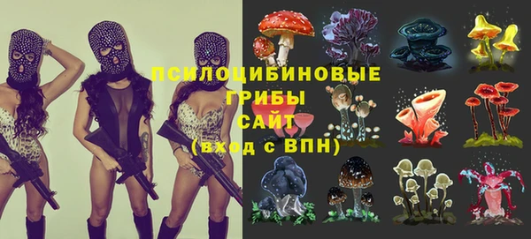 дурь Елизово